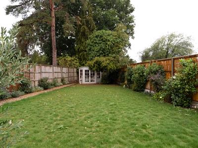 Picture 11